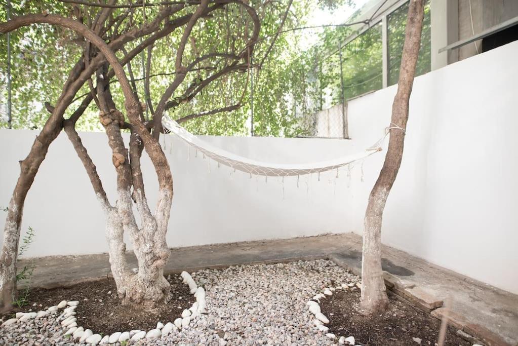 Luxury Studio With Garden Next To Acropolis 아테네 외부 사진